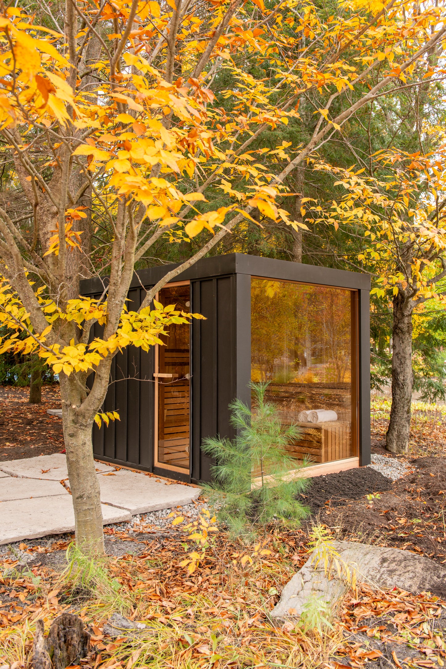 Pure Cube Neptune Sauna